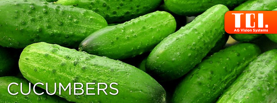 TCI-Cucumber