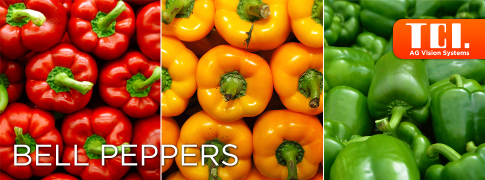 TCI-Bellpepper