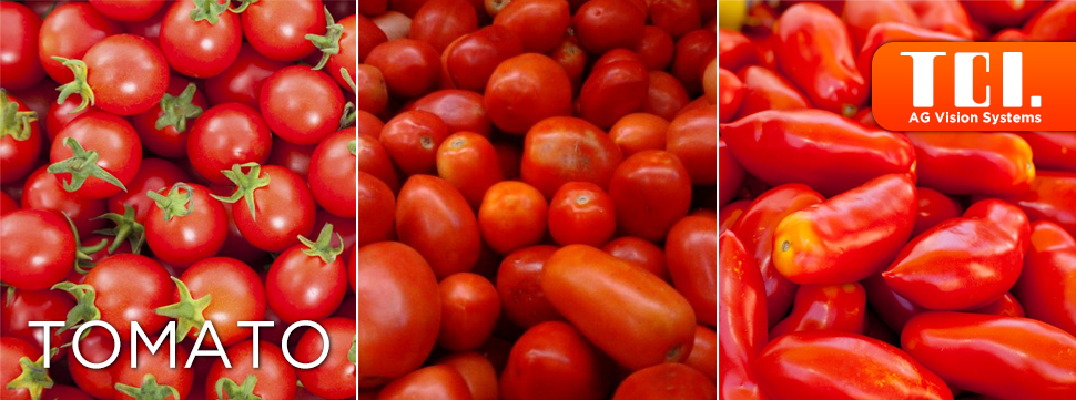 TCI-Tomato